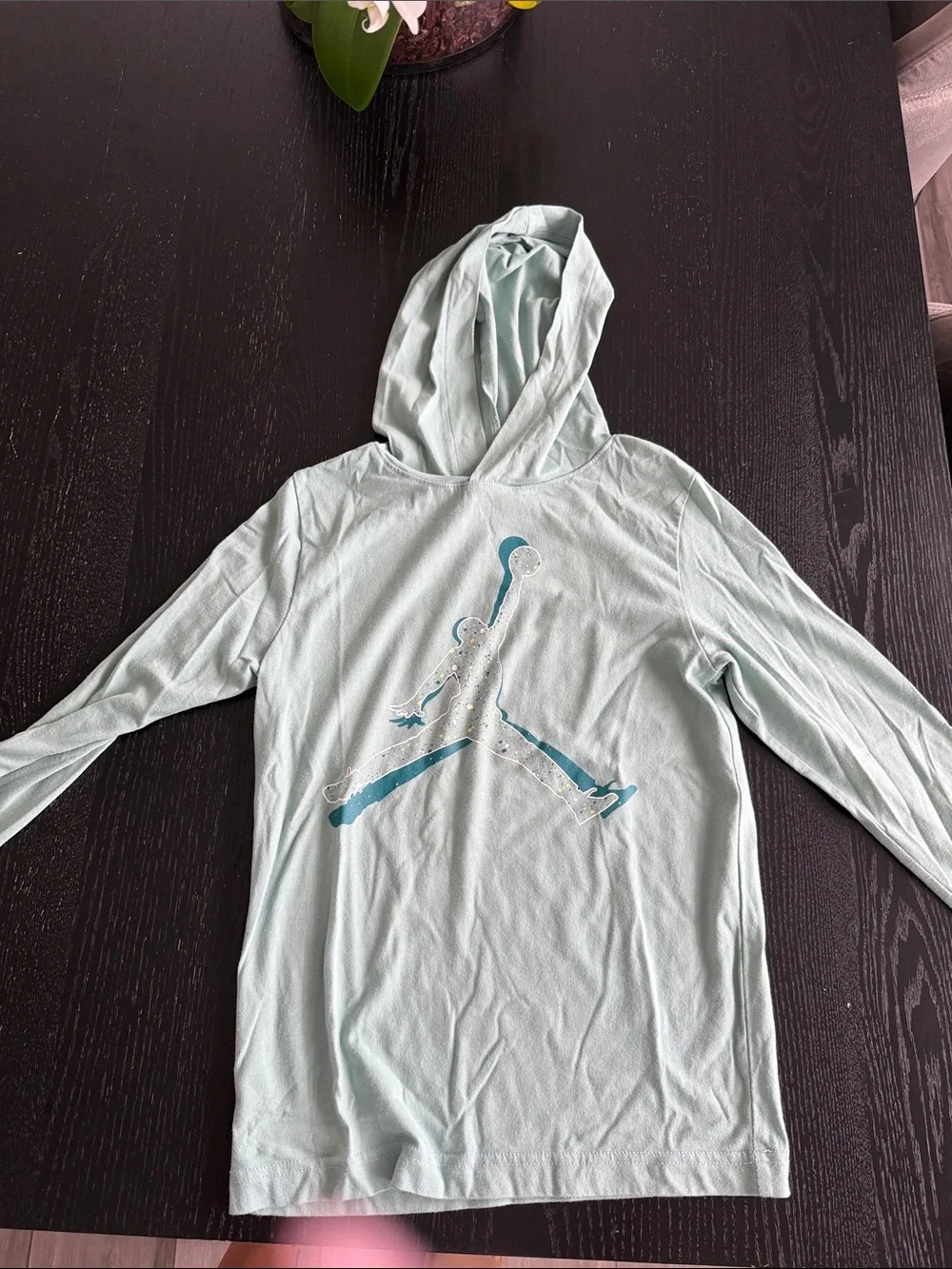Jordan Kids Light Mint Green Hooded Long Sleeve Shirt with Teal Jumpman